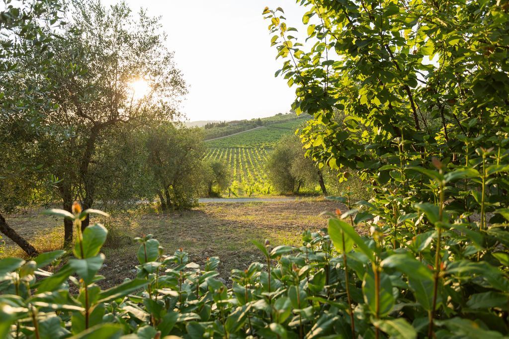 Tenuta Di Monaciano Ponte A Bozzone Bagian luar foto
