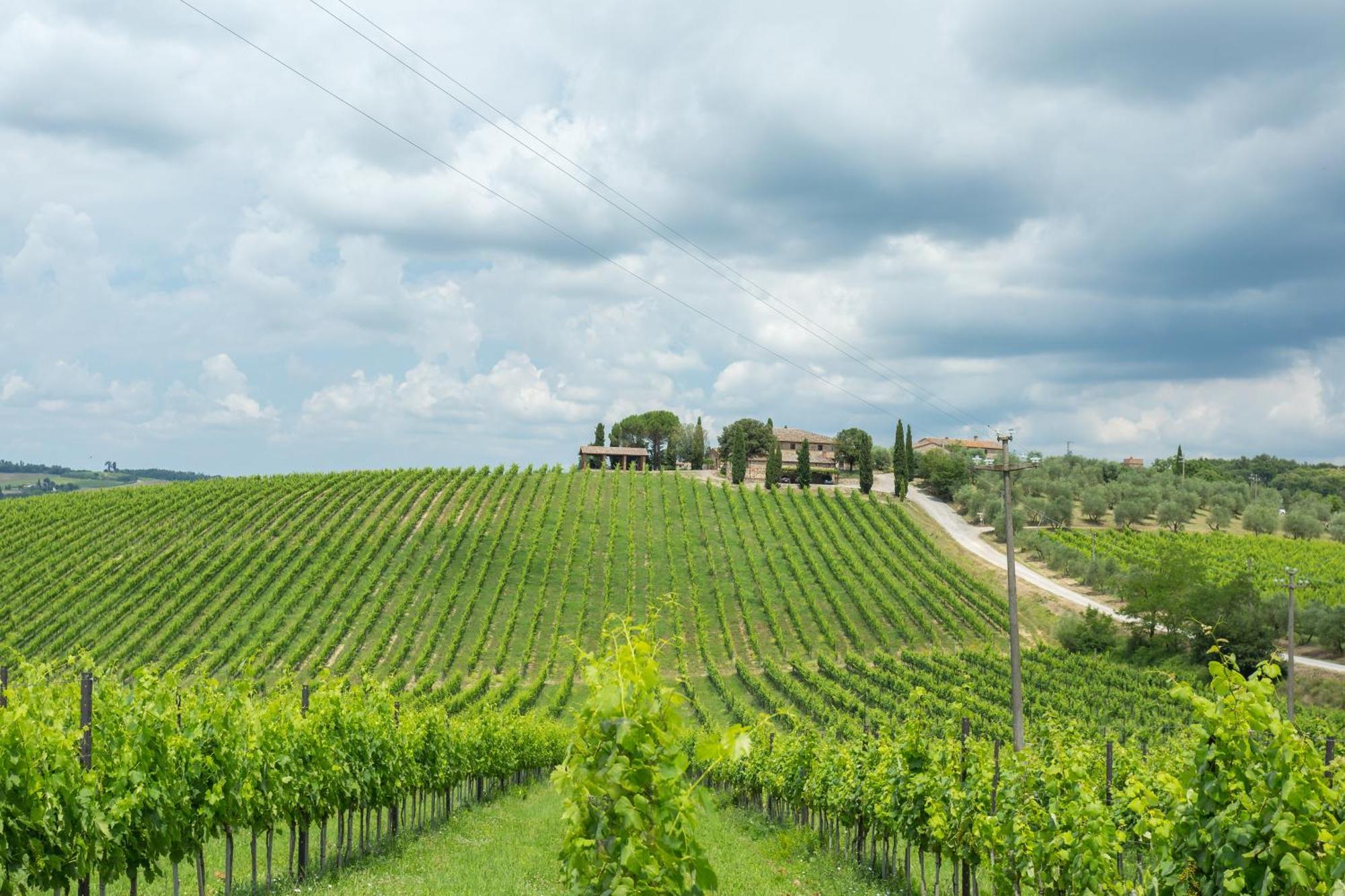 Tenuta Di Monaciano Ponte A Bozzone Ruang foto