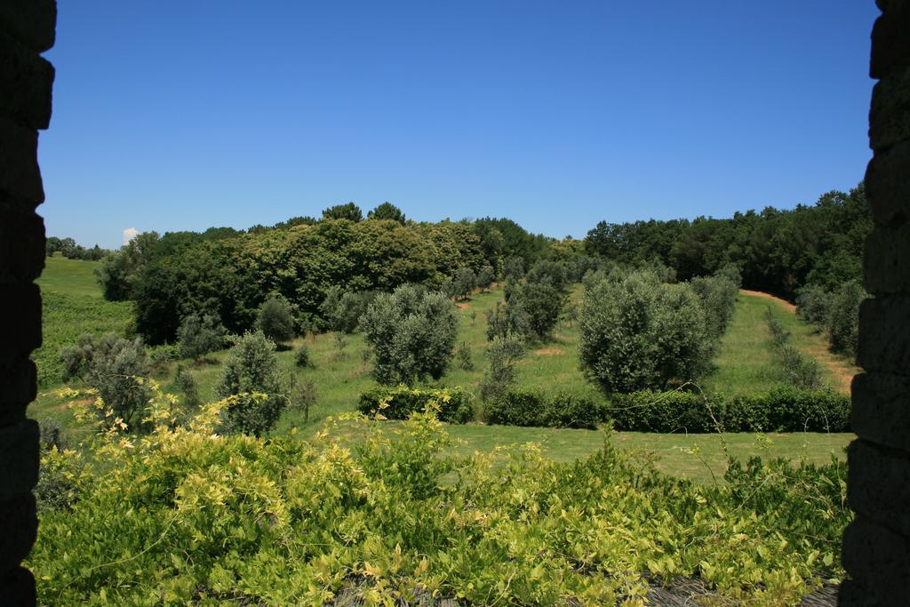 Tenuta Di Monaciano Ponte A Bozzone Ruang foto